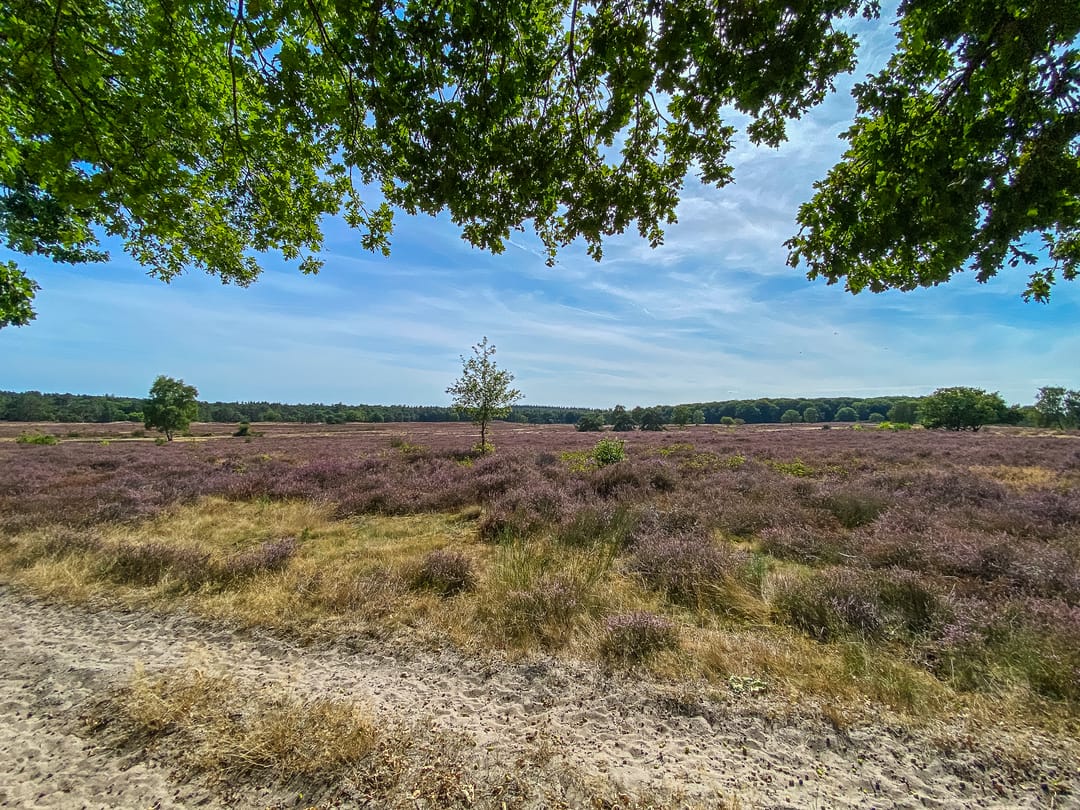 Foto 43 van Augustinushof 47