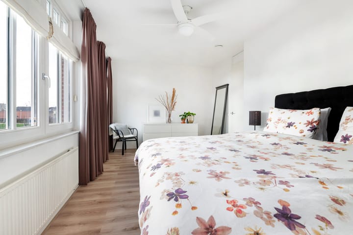 Foto 25 van Coniferenhout 3