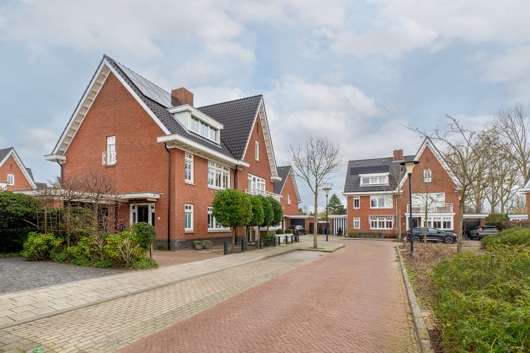 Foto 7 van Coniferenhout 3