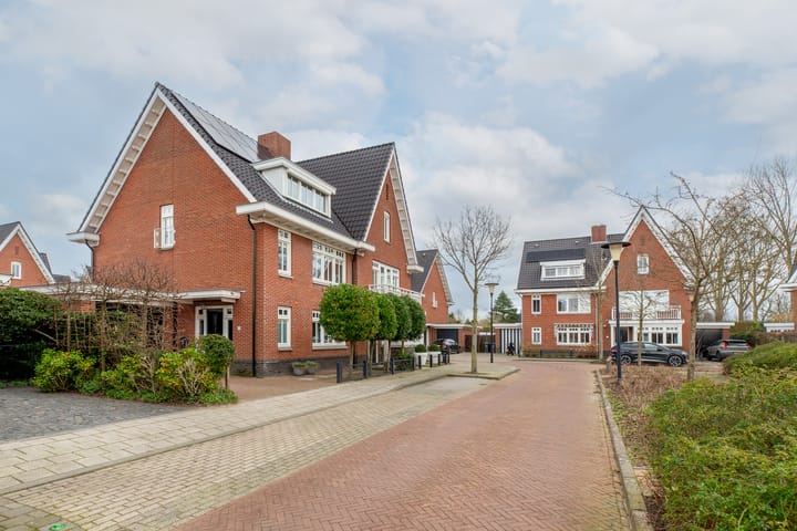 Foto 7 van Coniferenhout 3