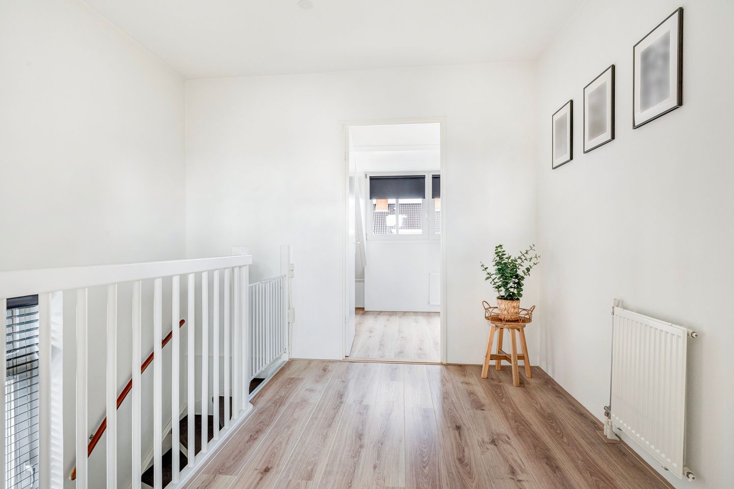 Foto 35 van Coniferenhout 3