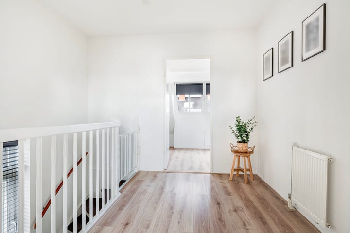 Foto 35 van Coniferenhout 3