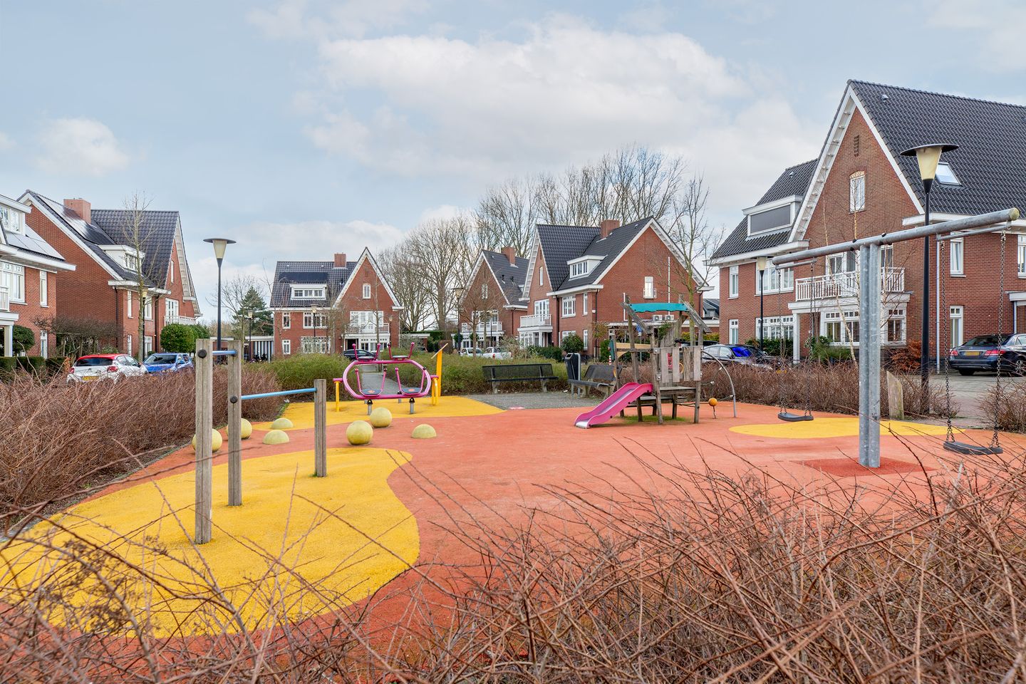 Foto 50 van Coniferenhout 3