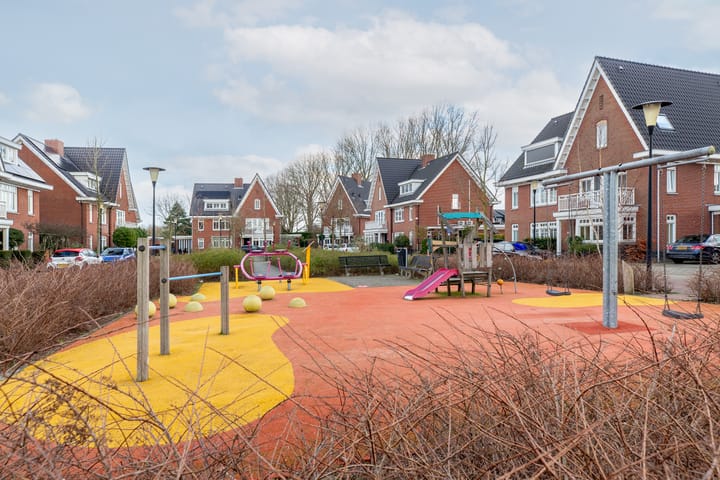 Foto 50 van Coniferenhout 3