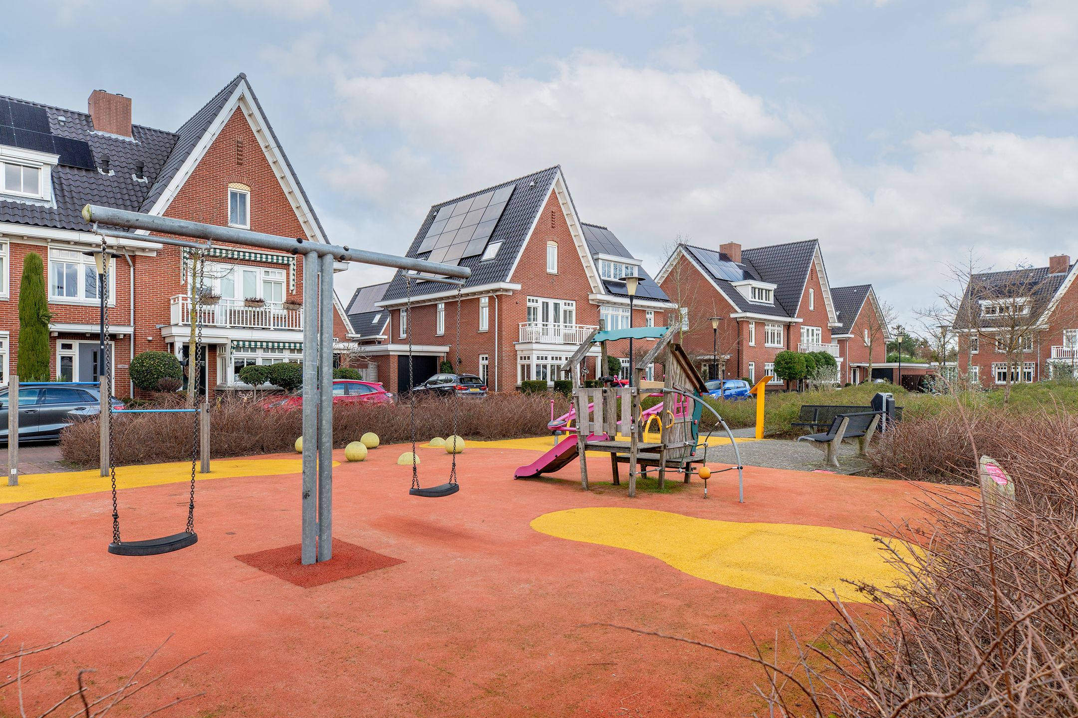 Foto 51 van Coniferenhout 3