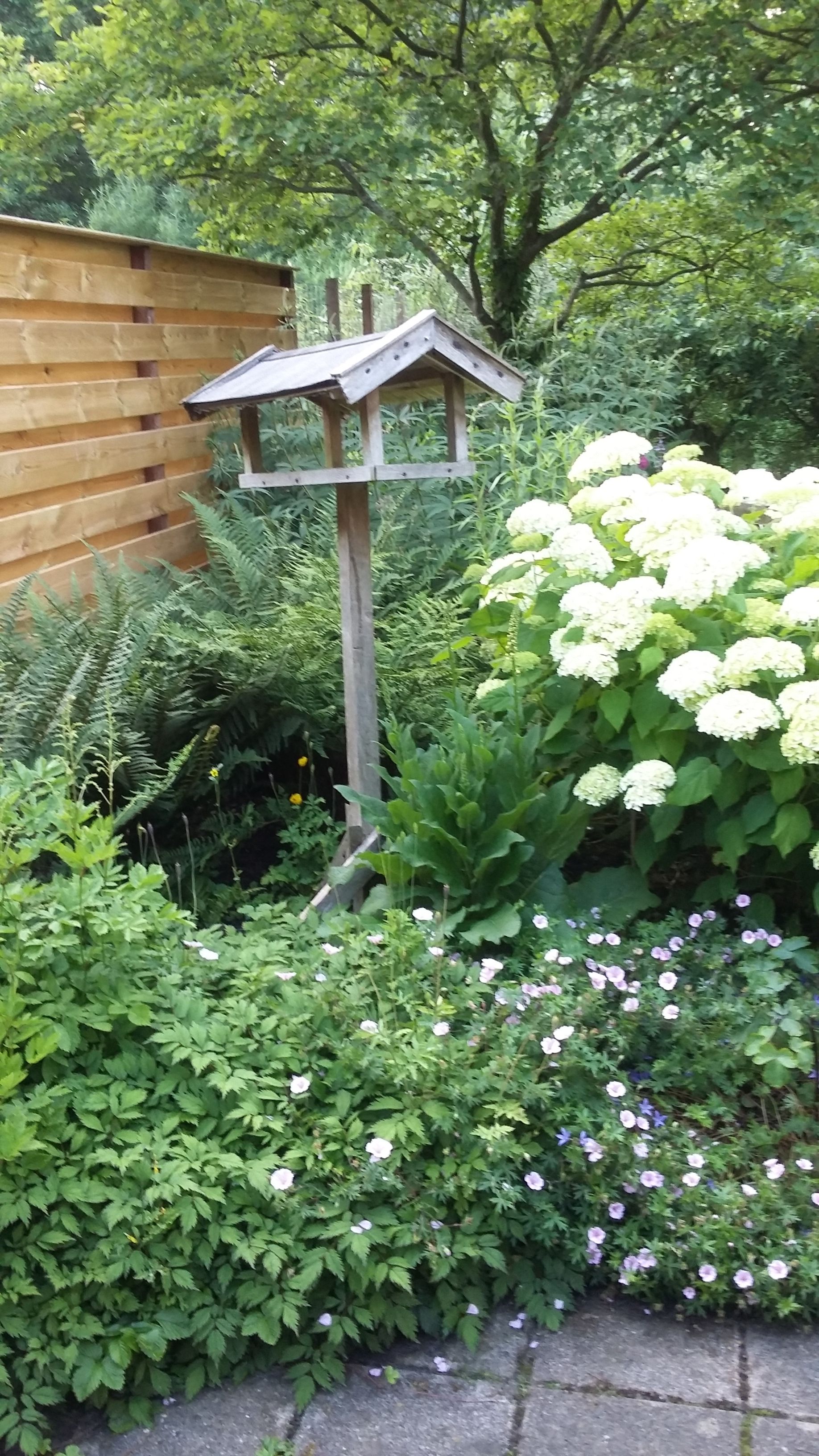 Foto 30 van Tormentilstraat 114