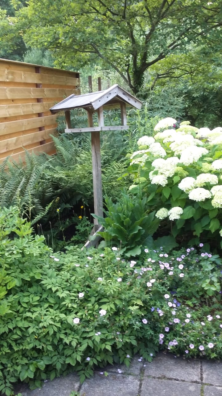 Foto 30 van Tormentilstraat 114