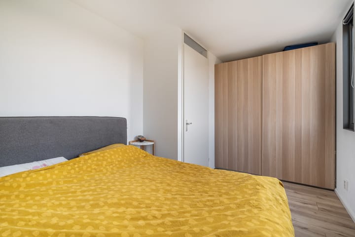 Photo 58 of Eendenkooi 29