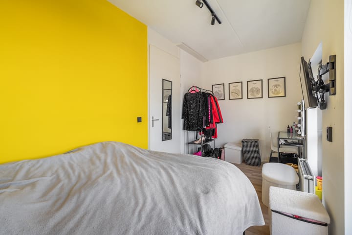 Photo 45 of Eendenkooi 29