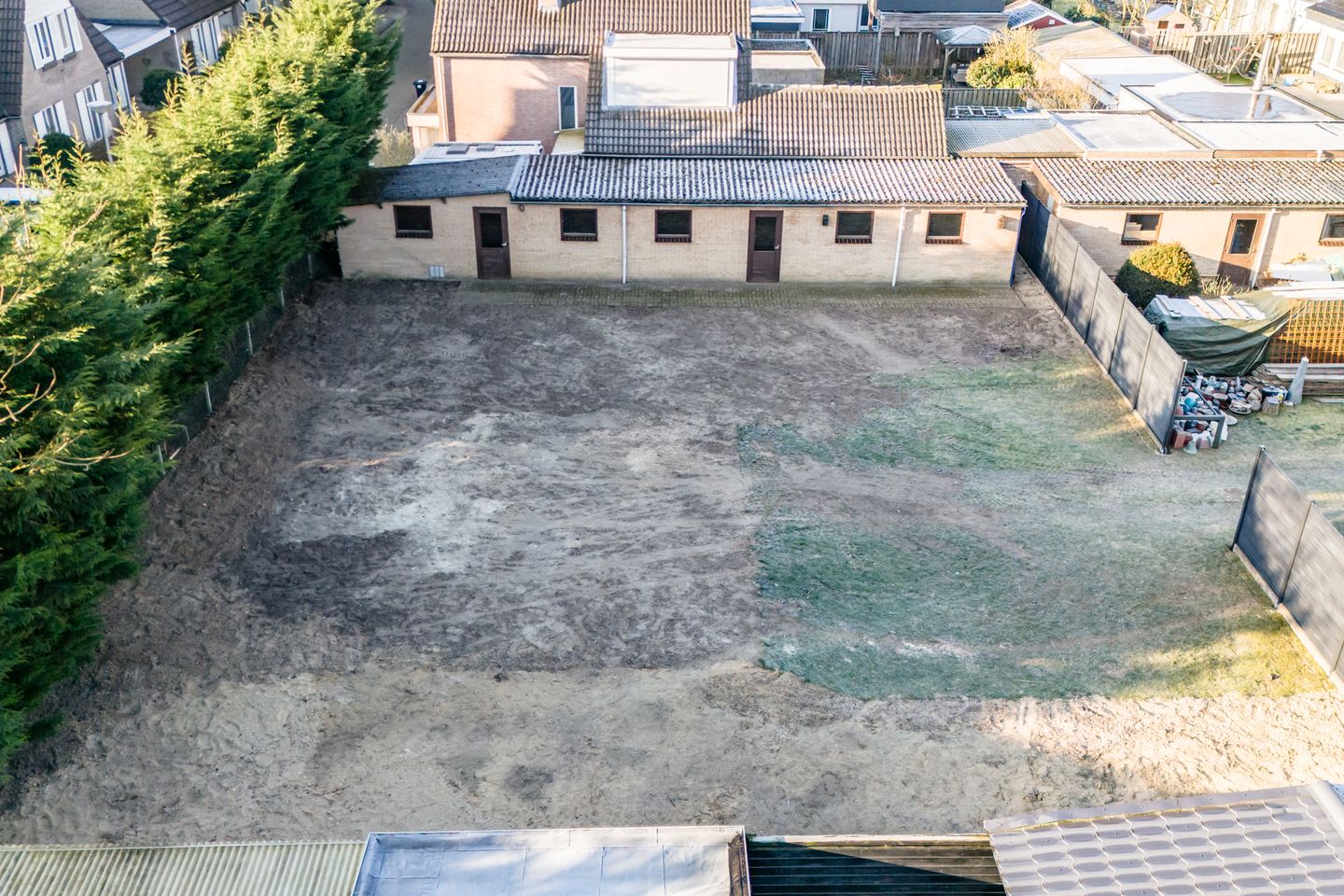 Foto 1 van Korenbloem