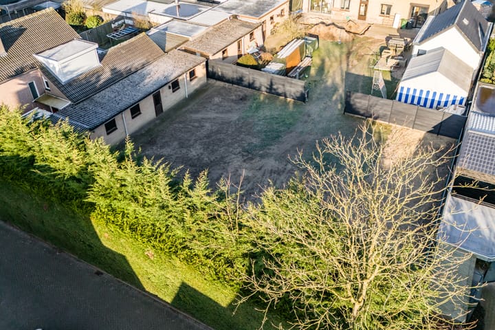 Foto 2 van Korenbloem