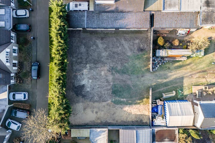 Foto 3 van Korenbloem