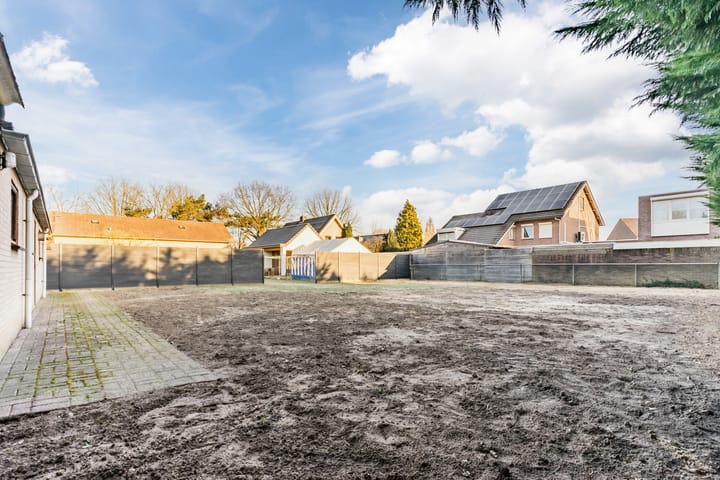 Foto 7 van Korenbloem