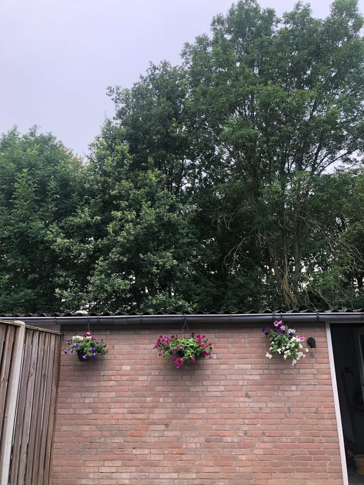 Foto 30 van Rouenlaan 61