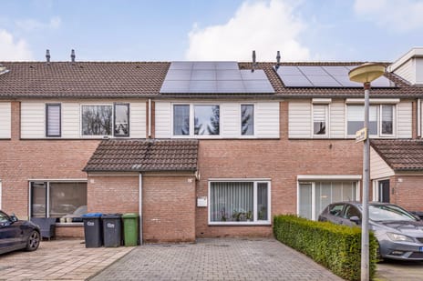 undefined main image