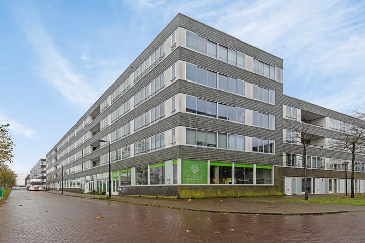 Foto 19 van IJburglaan 358