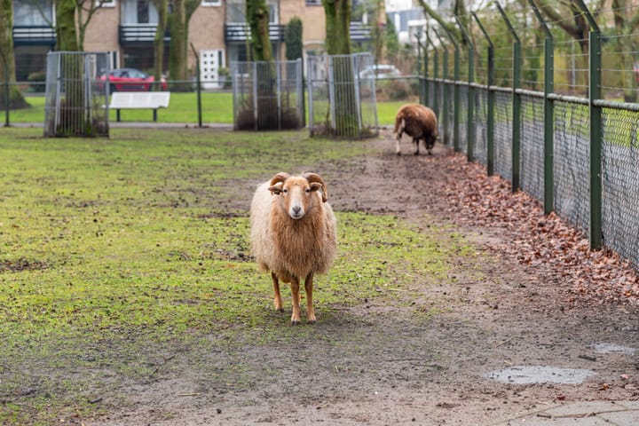 Foto 50 van Lijsterlaan 110