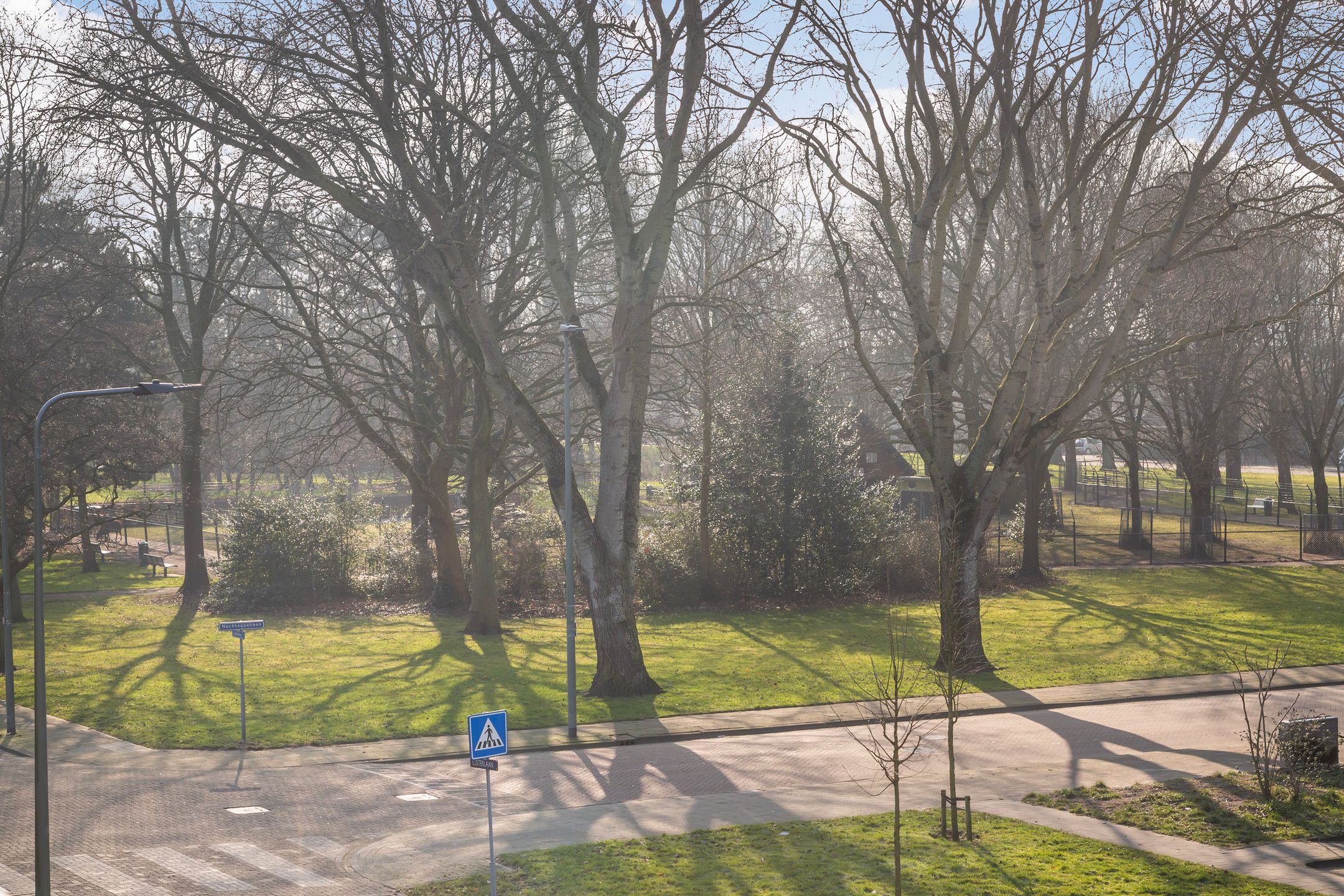 Foto 51 van Lijsterlaan 110