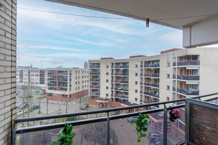 Foto 24 van Plantage 127