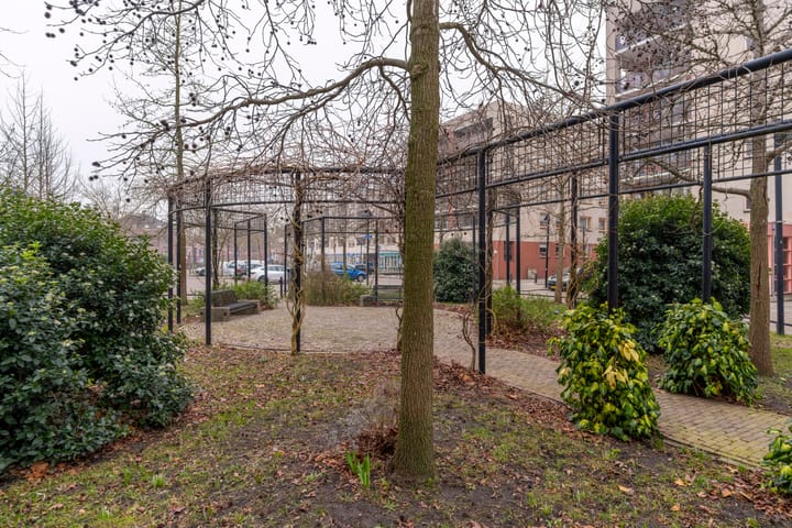 Foto 31 van Plantage 127