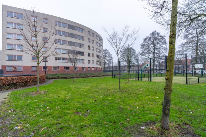 Foto 34 van Plantage 127