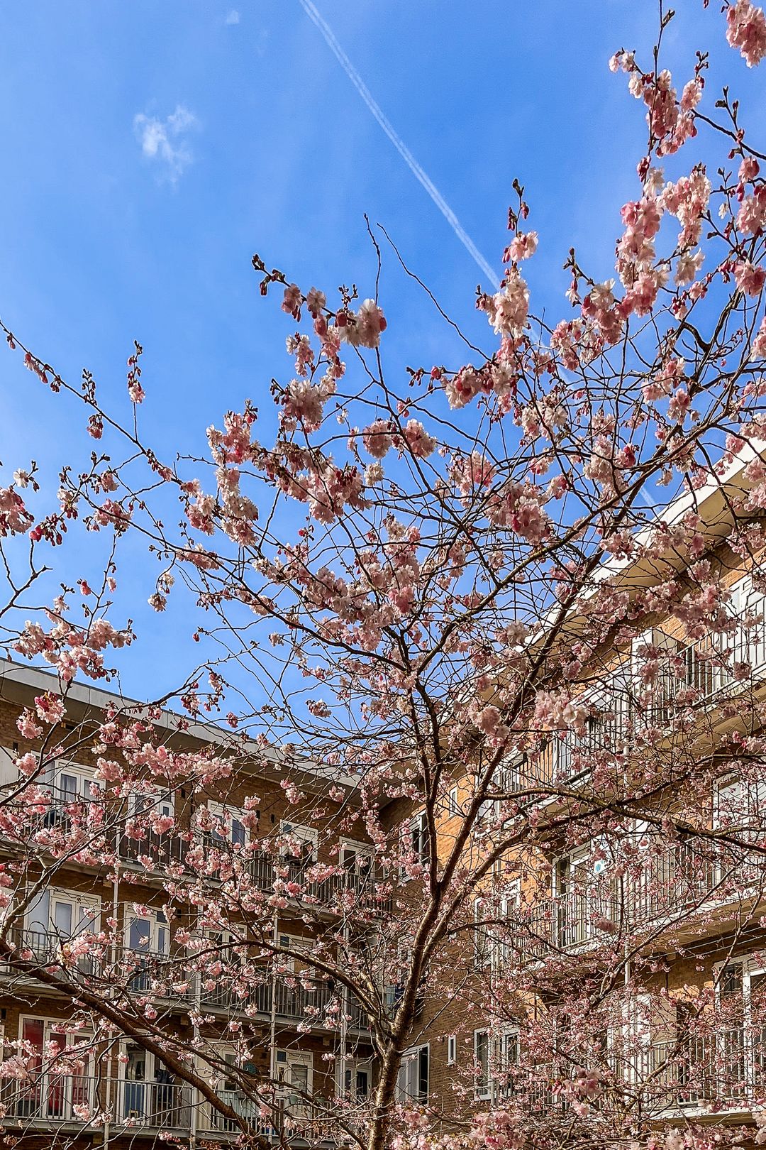 Foto 16 van Geuzenstraat 51-H