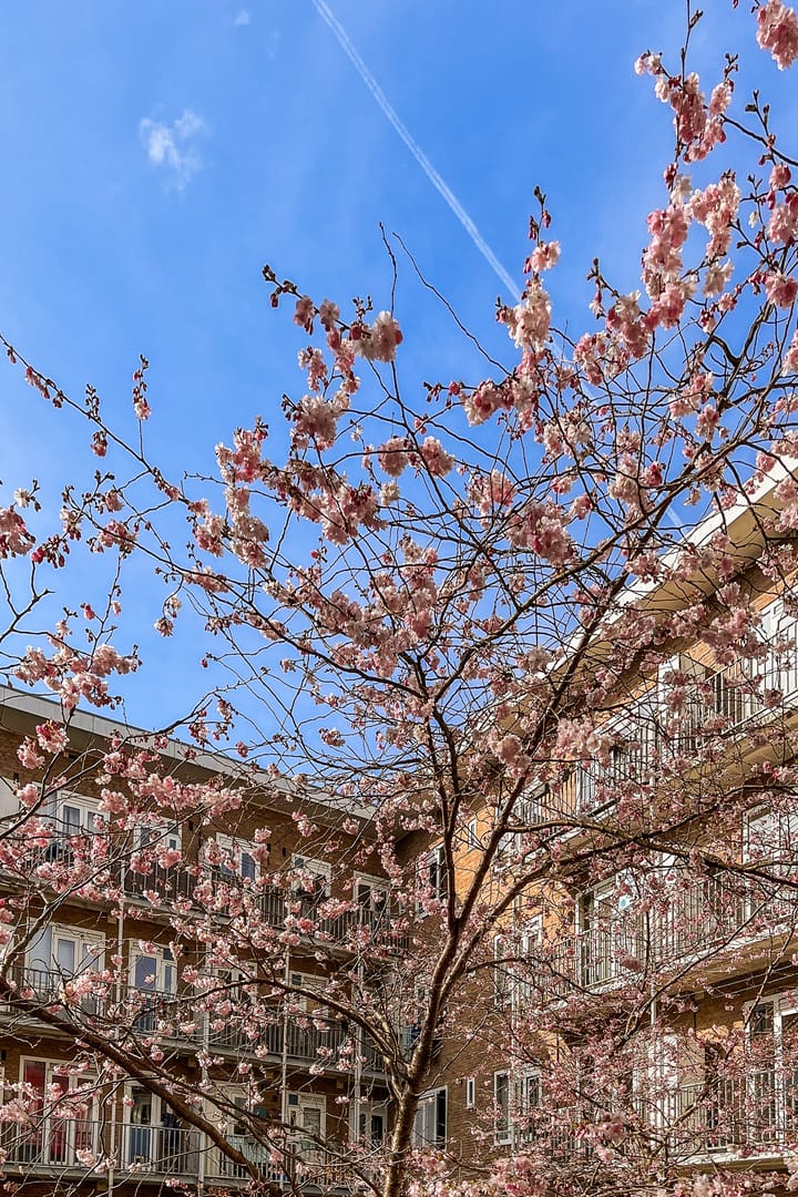 Foto 16 van Geuzenstraat 51-H