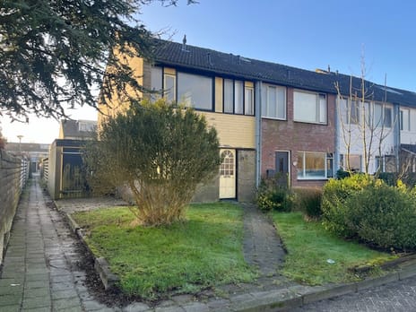 undefined main image