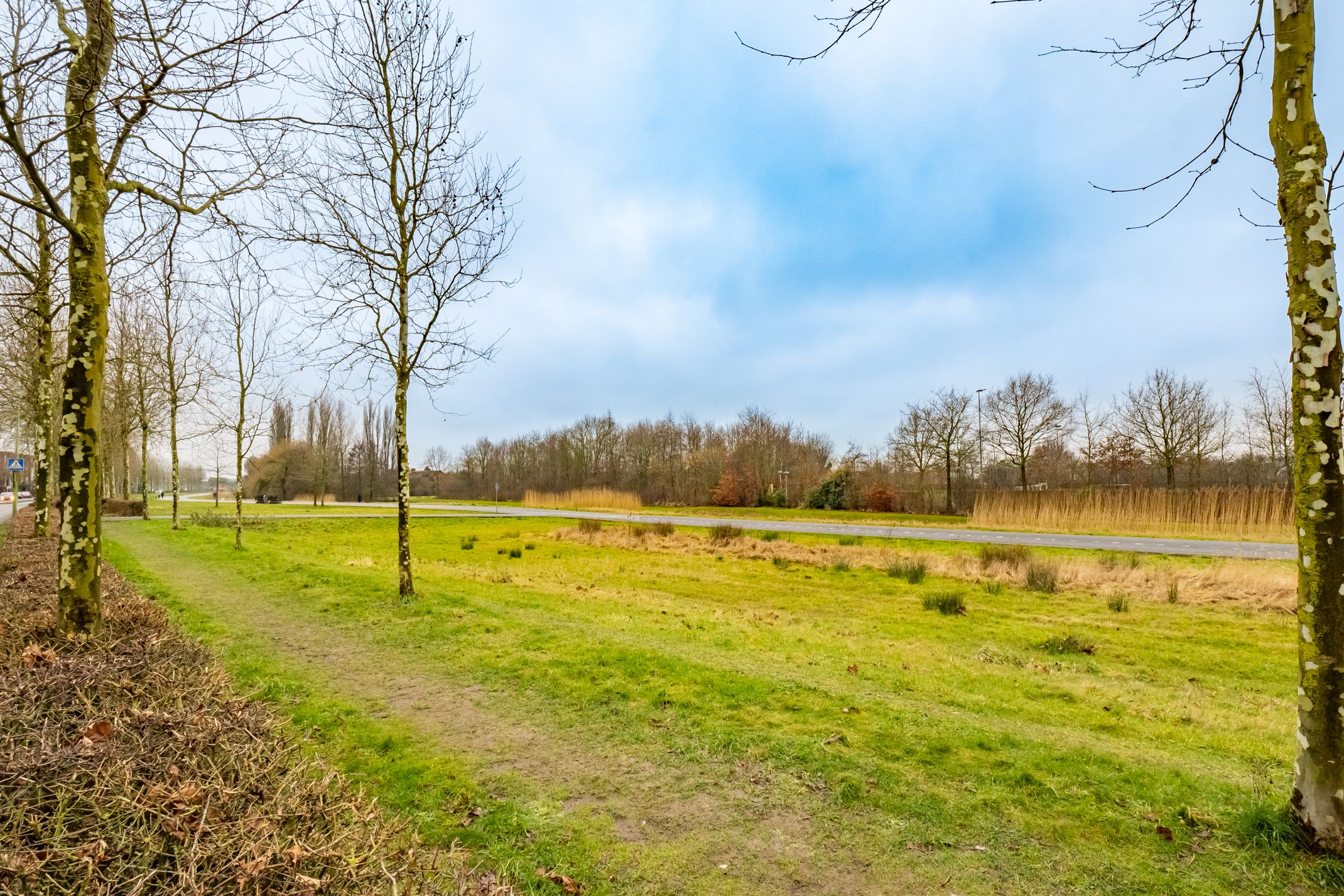 Foto 39 van Parkzichtlaan 284