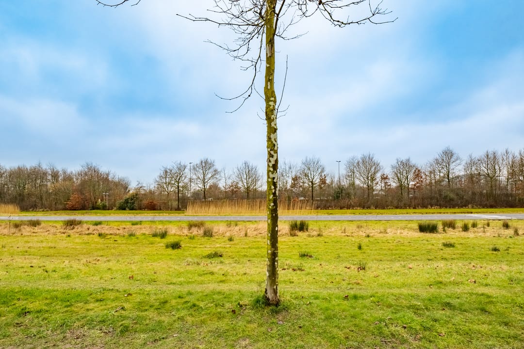 Foto 41 van Parkzichtlaan 284