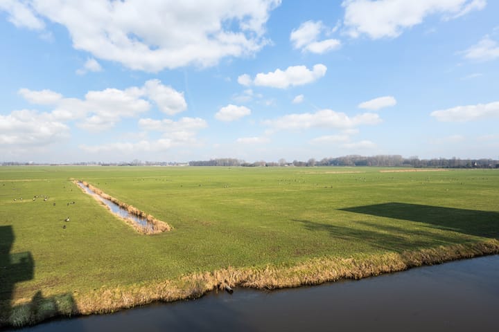 Foto 30 van Goudplevierstraat 154