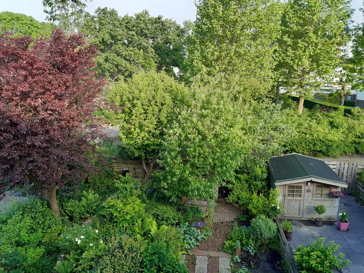 Foto 4 van Rode Klaver 77