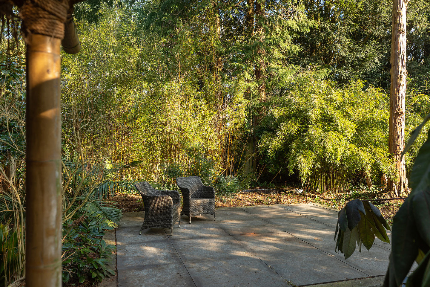 Foto 4 van Hoflaan 1