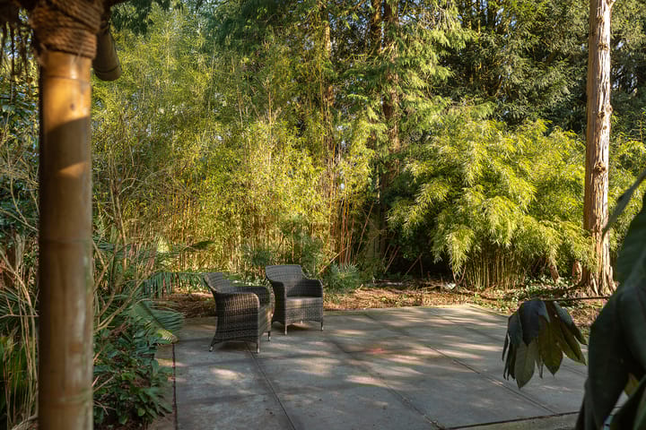 Foto 4 van Hoflaan 1