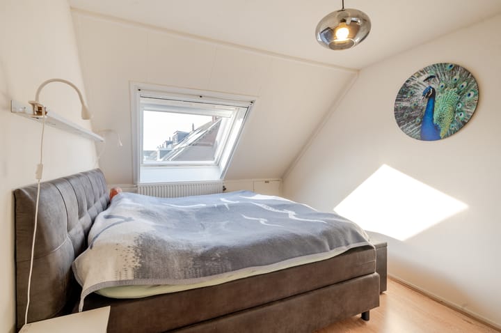 Foto 22 van Schermer 59