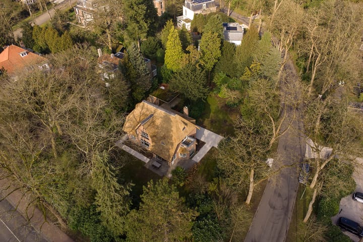 Foto 36 van Hoflaan 1