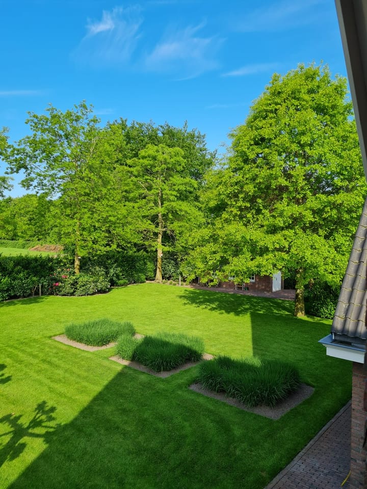 Foto 46 van Vrachelsestraat 27