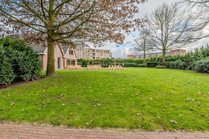 Foto 48 van Vrachelsestraat 27