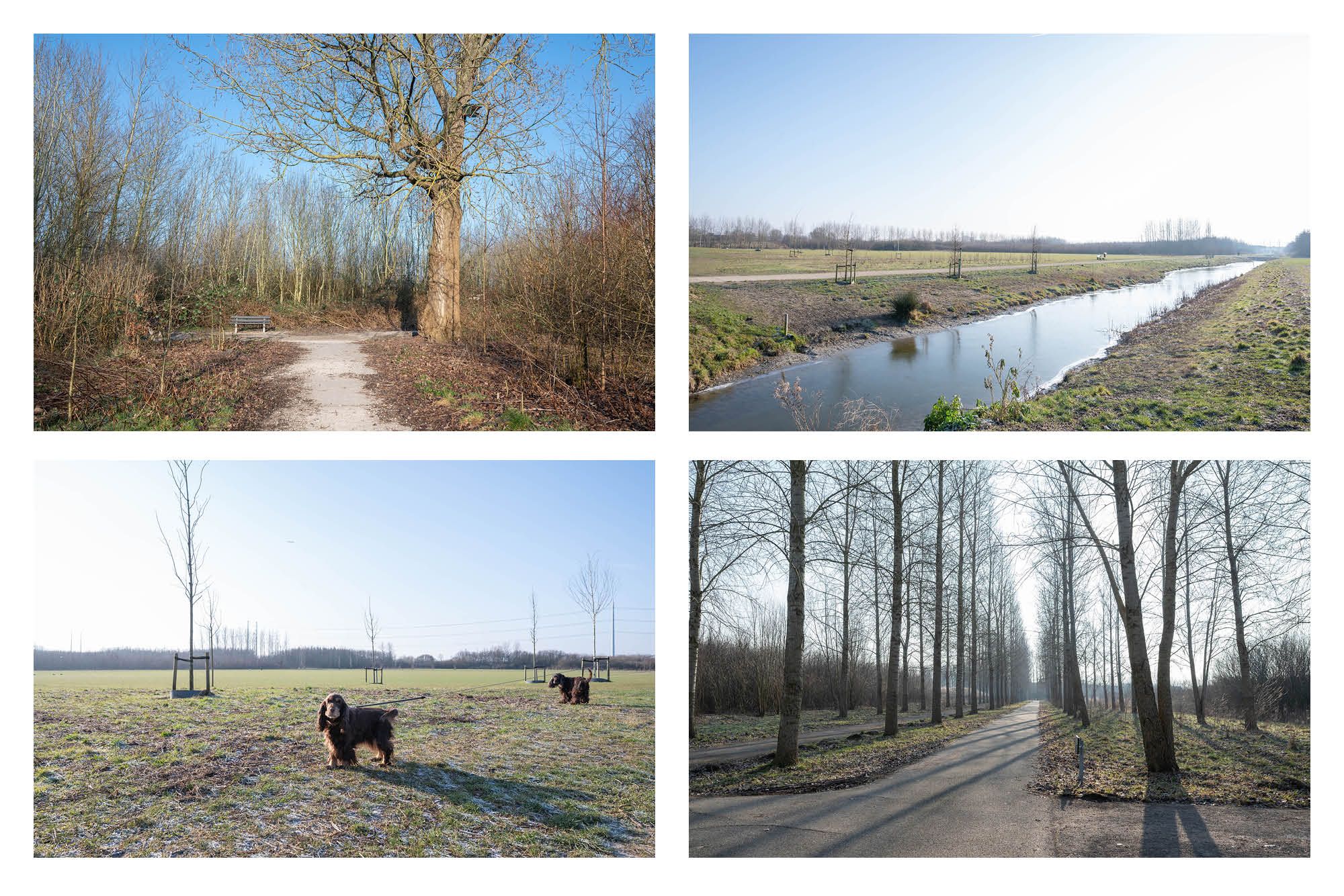 Photo 51 of Hoofdweg 1283