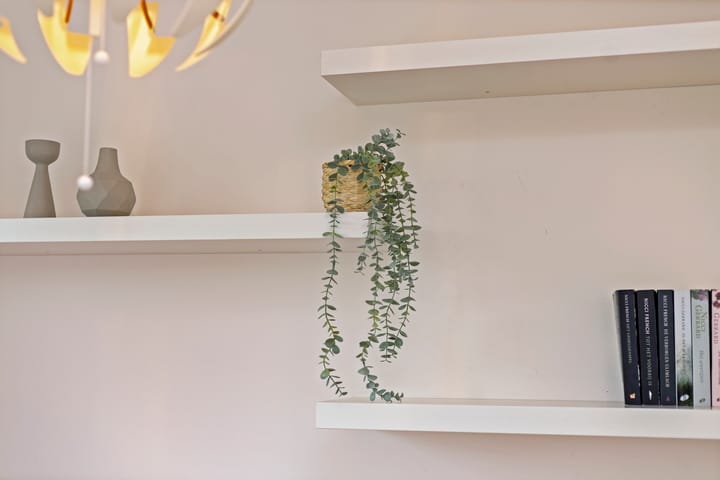 Foto 24 van Titus Brandsmastraat 112