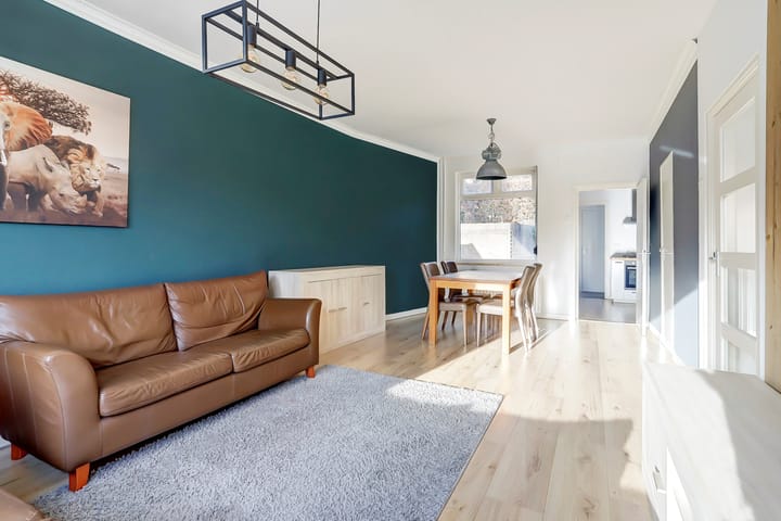 Foto 3 van Leijsenhoek 113