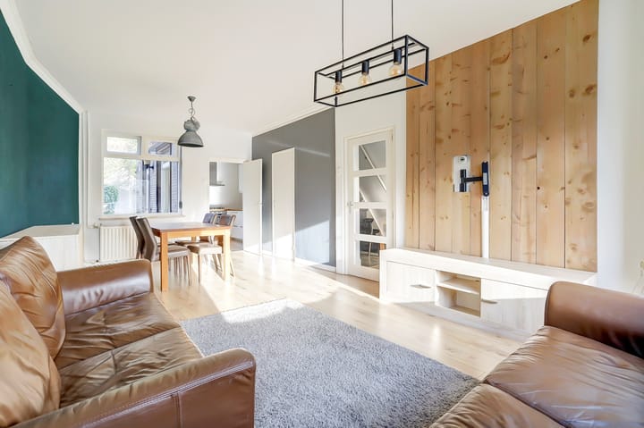 Foto 6 van Leijsenhoek 113