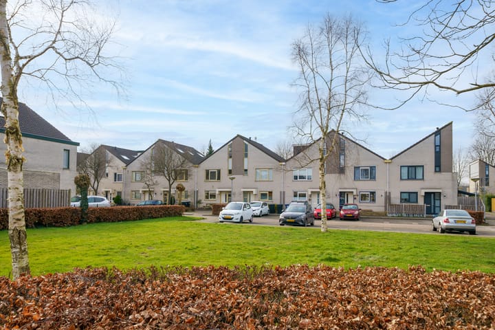 Foto 38 van Lou Costellostraat 21