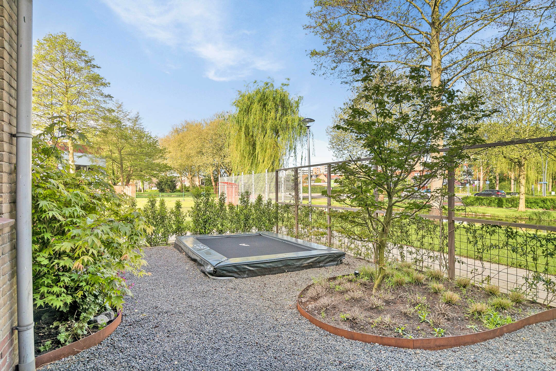 Photo 9 of Gouden Regen 6