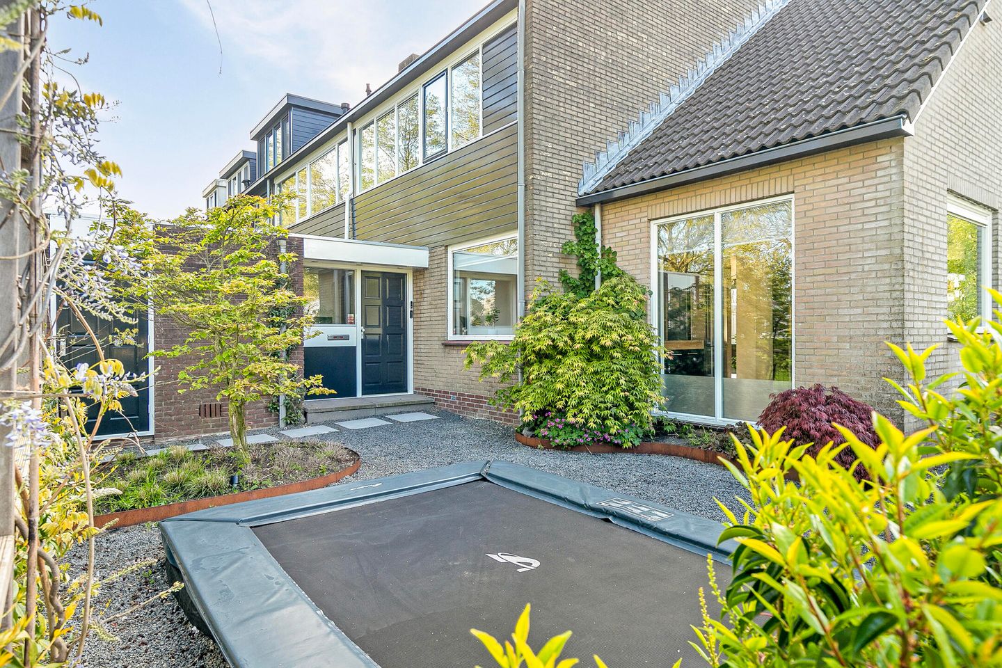 Photo 10 of Gouden Regen 6