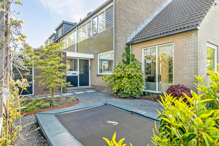 Foto 10 van Gouden Regen 6