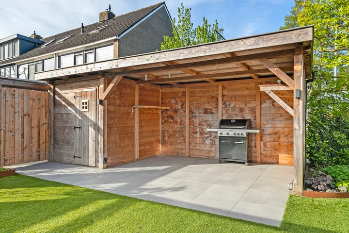 Foto 12 van Gouden Regen 6