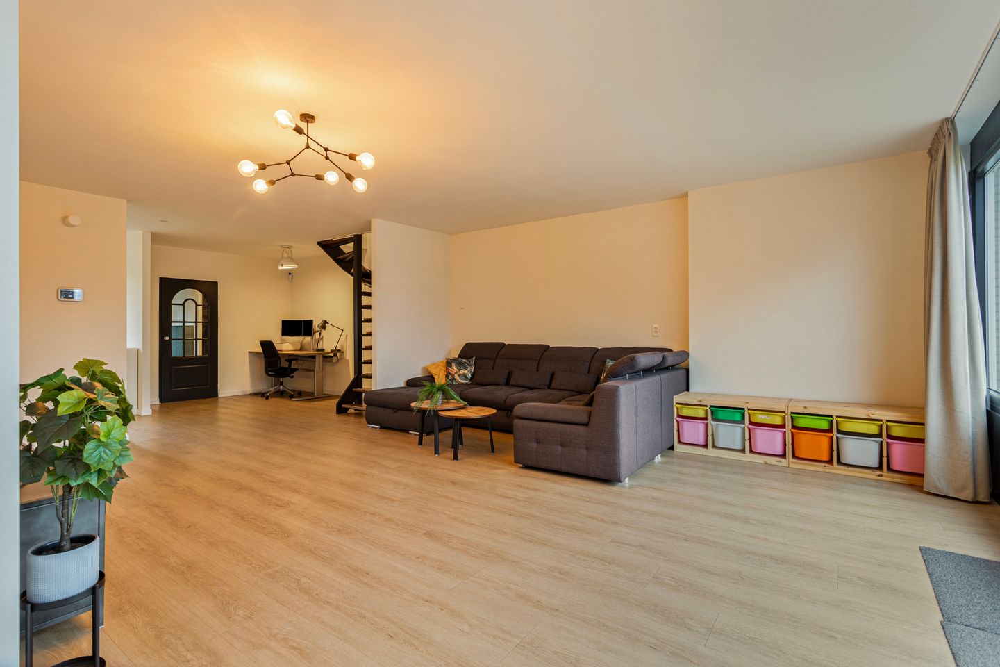 Photo 14 of Gouden Regen 6