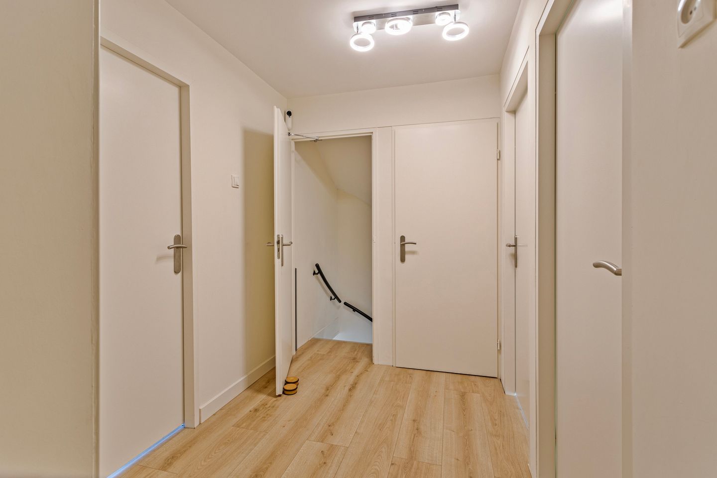 Photo 29 of Gouden Regen 6