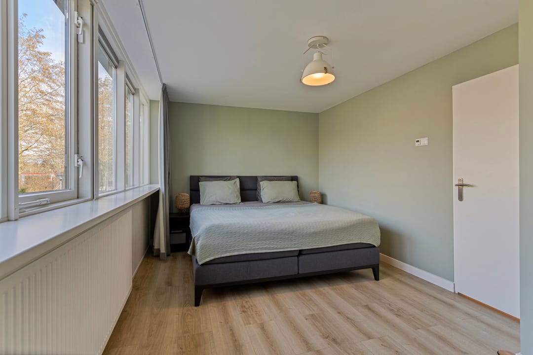 Photo 31 of Gouden Regen 6